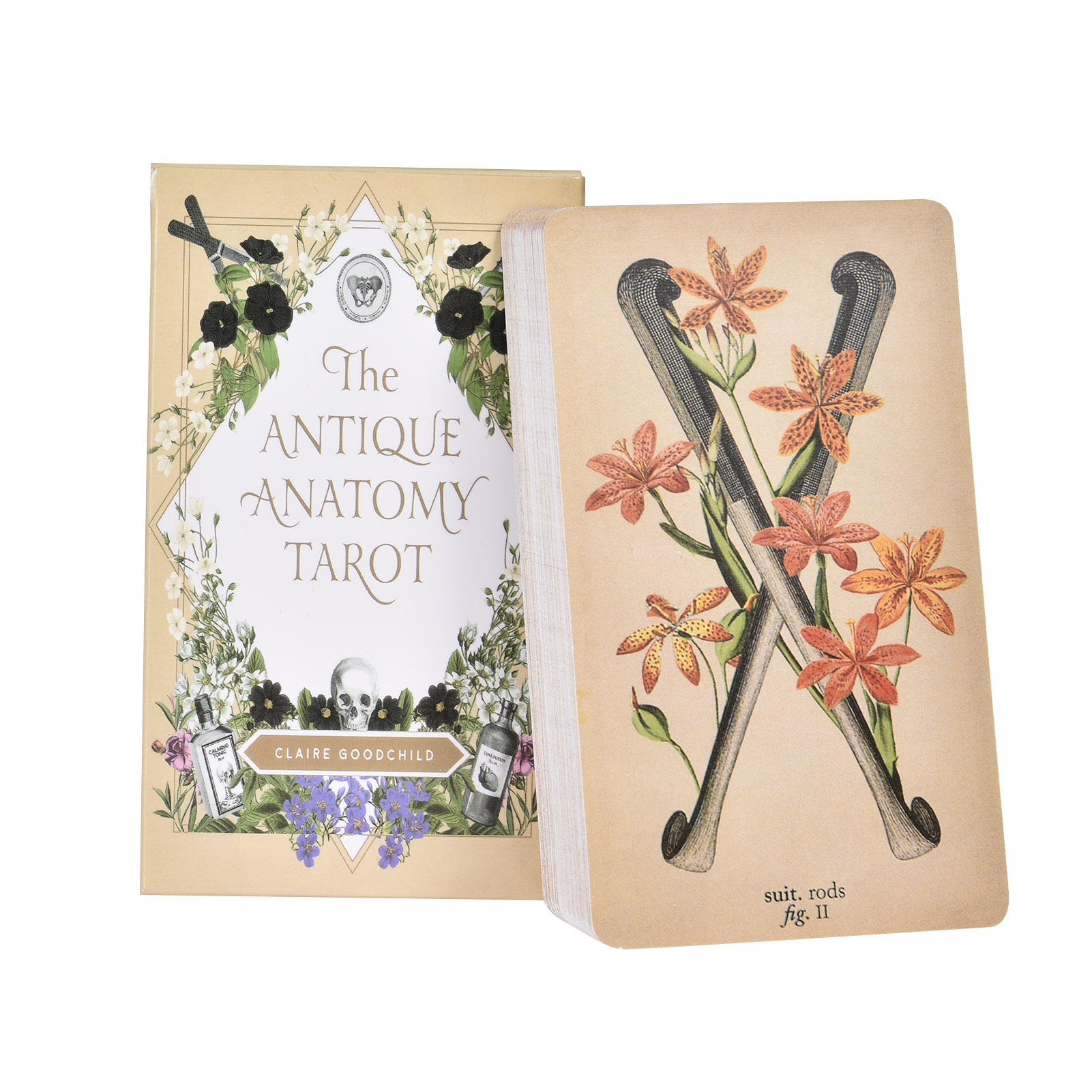 Tarot Deck With Guidebook - De Antieke Anatomie Tarotkaarten Engelse Versie