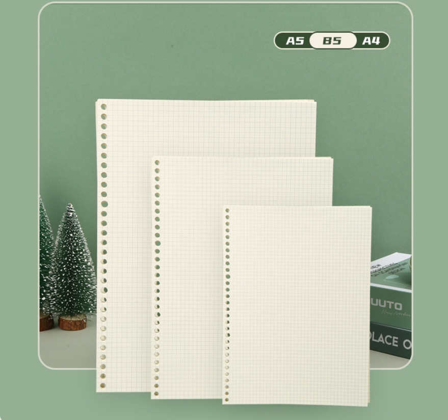 A5 B5 Lijnraster 20 Gaten Losb - A5 Spiral Dotted Grid Notebook recensie en prijs