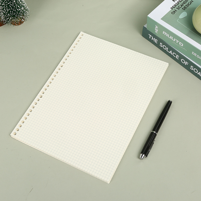 A5 B5 Lijnraster 20 Gaten Losb - A5 Spiral Dotted Grid Notebook recensie en prijs