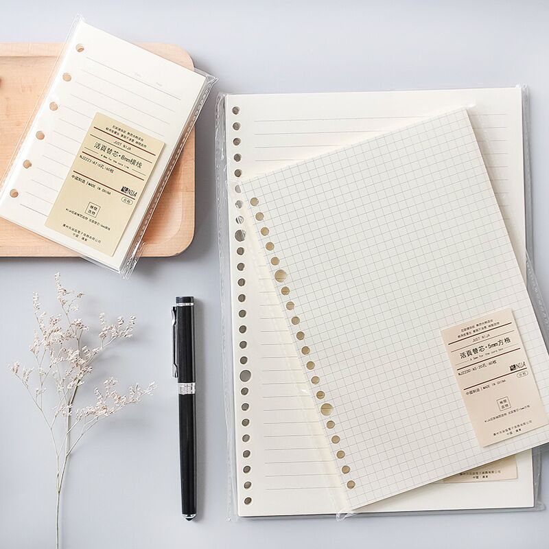 A5 B5 20 Gaten Losbladige Note - A5 Spiral Dotted Grid Notebook recensie en prijs