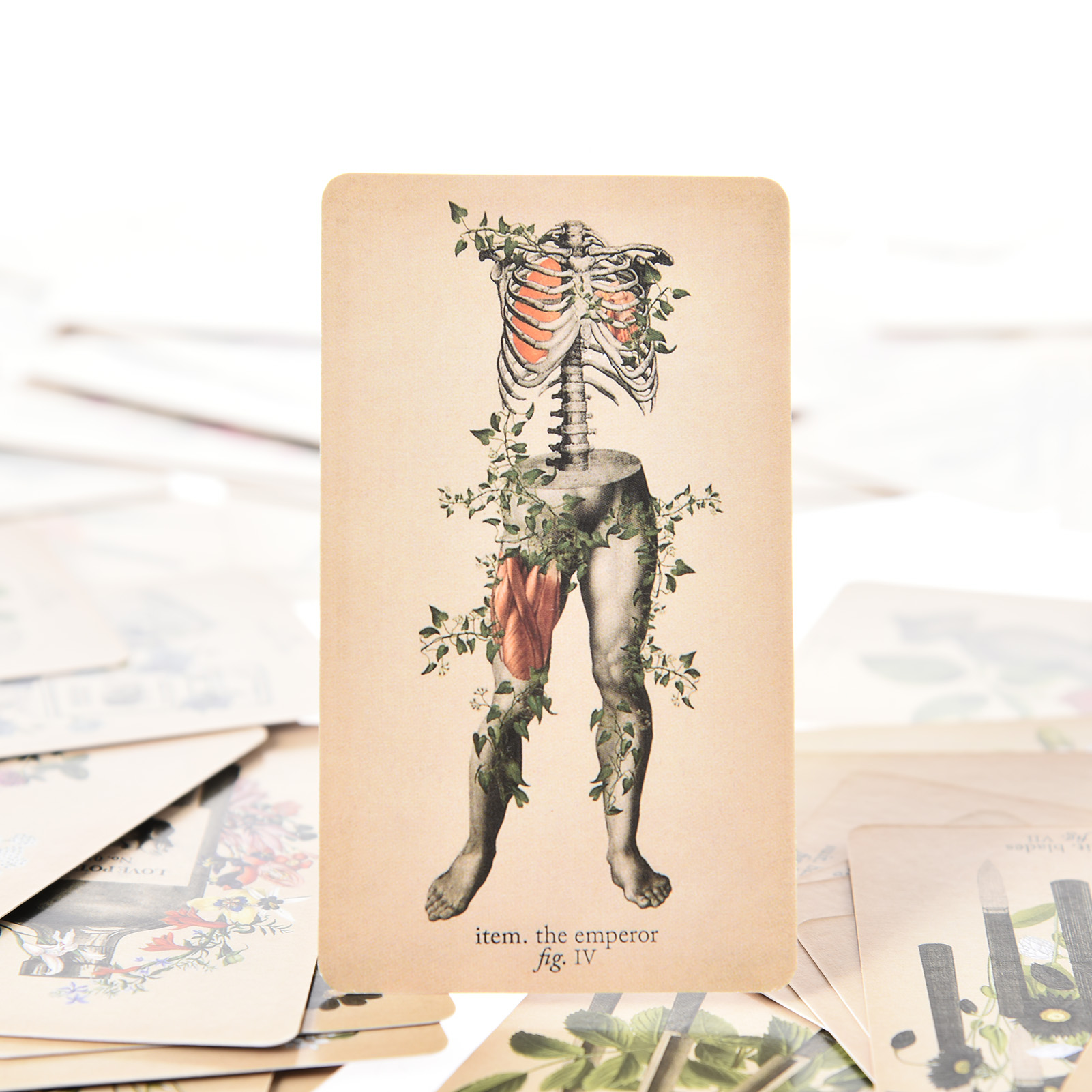 De Antieke Anatomie Tarotkaart - Tarot Deck With Guidebook recensie en prijs