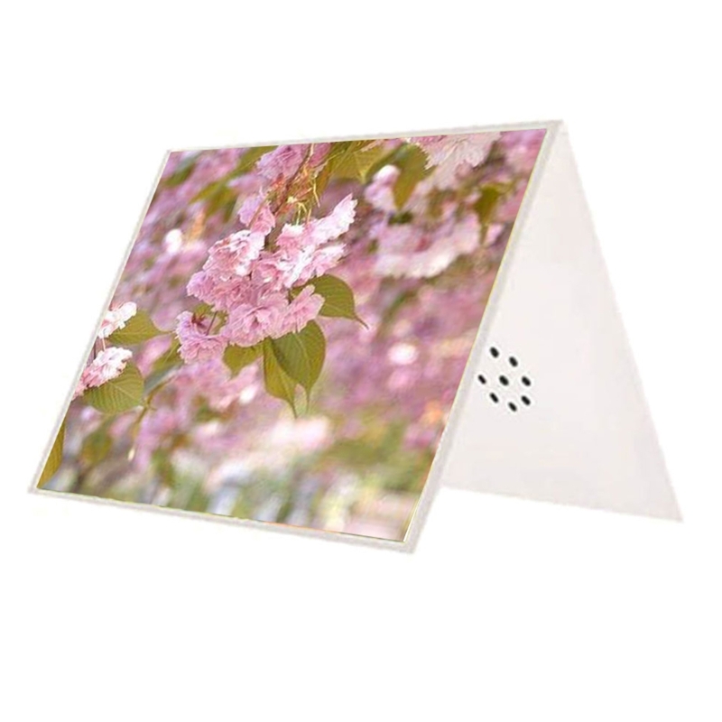 DIY-wenskaart Praten Beschrijf - Blank Sheet Music Notebook recensie en prijs
